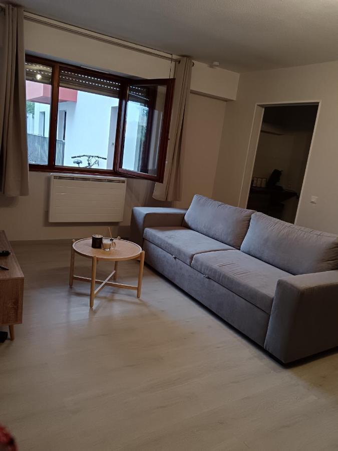 Appartement Cosy A Страсбург Екстериор снимка